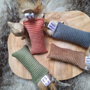 🐱 Petit KICK plumes