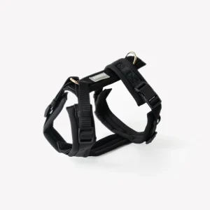 Harnais comfort Black