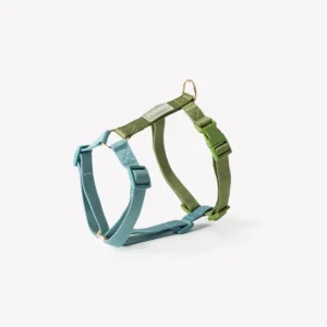 Harnais Blue + Green