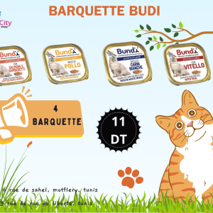 4 BARQUETTE bundi CHAT 90g mix