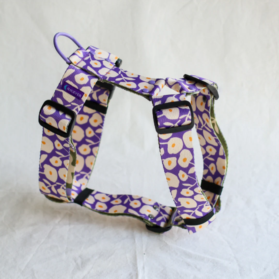 🐶 Harnais pour chien (fleurs) – Image 4