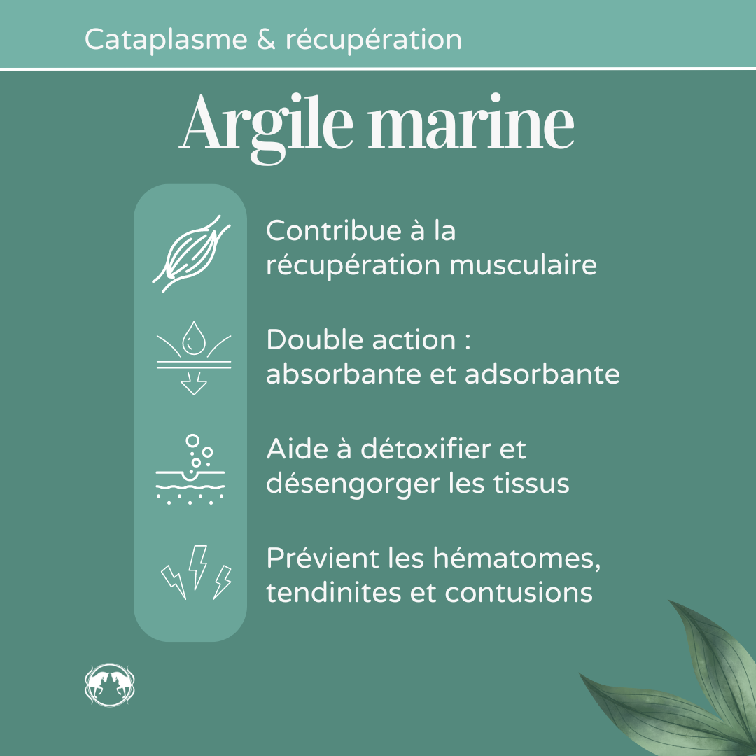 ARGILE MARINE – Image 3