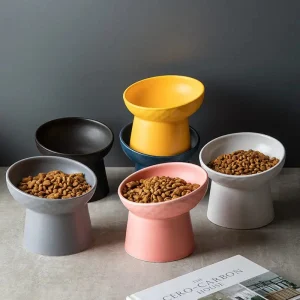 Bols surélevés inclinés pour animaux - Design épuré