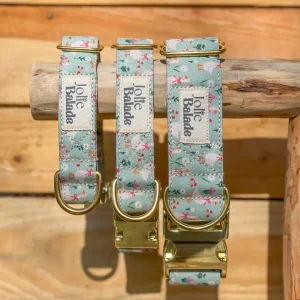 🐶 Collier "OIES"