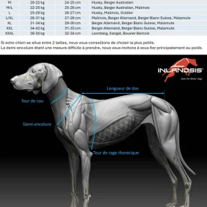 Polar Quest - Harnais canicross, mushing