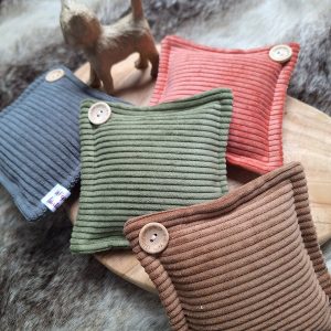 🐱 Coussin velours