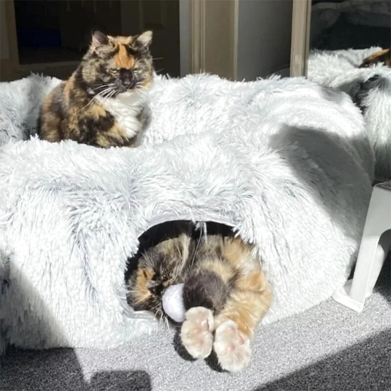 Lit Rond pour Chat avec Niche et Balle Suspendue – Image 4
