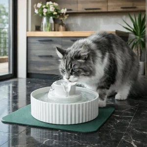 Fontaine à eau chat en céramique à cascade - Organic™