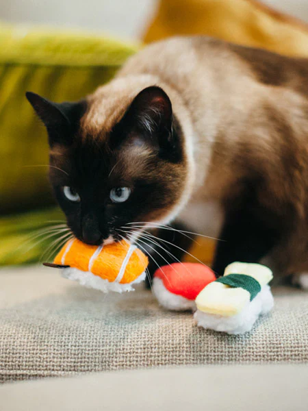 🐱 Ensemble de jeux - SUSHI – Image 4